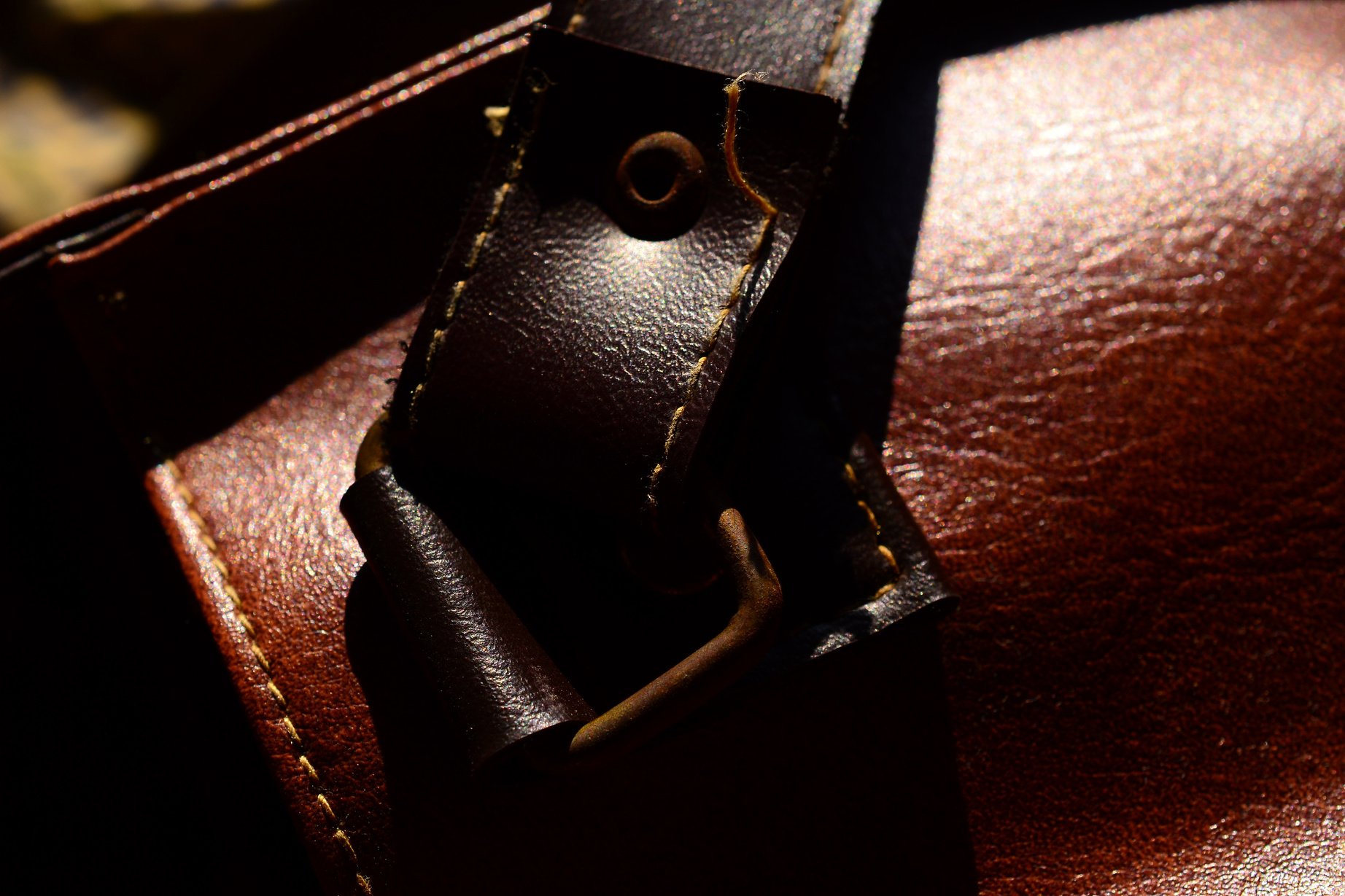 The Leather Bag